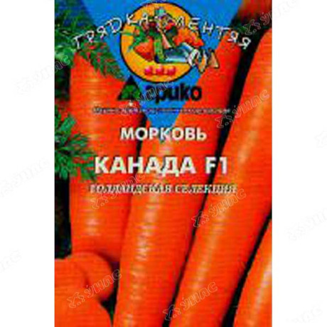 Морковь Канада (ДР) Агрико