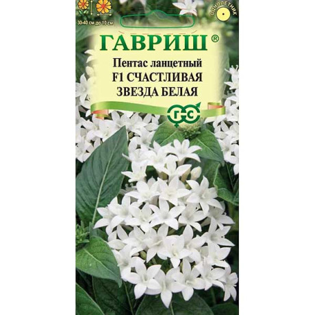 Семена Пентас Счастливая звезда белая Гавриш Цх10