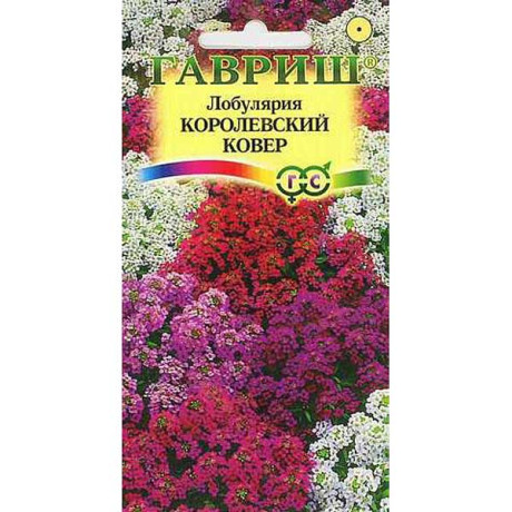 Лобулярия Королевский ковер Гавриш Ц