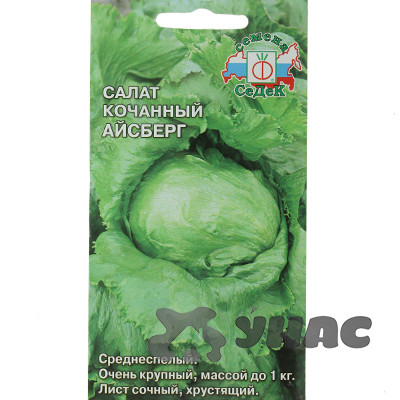 Салат Айсберг Седек Ц