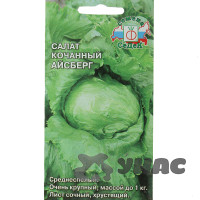 Салат Айсберг Седек Ц