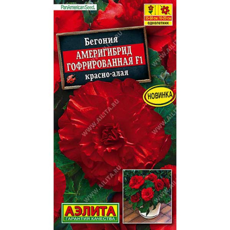 Ком Бегония Америгибрид красно-алая  Аэлита Ц