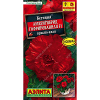 Ком Бегония Америгибрид красно-алая  Аэлита Ц
