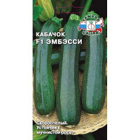 Кабачок Эмбэсси Седек Ц