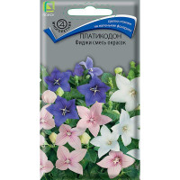 Платикодон Фиджи смесь Поиск Ц