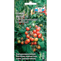 Семена Томат Непас 11 Непасынкующийся комнатный Седек