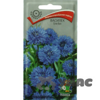 Василек Блю бол Поиск Ц