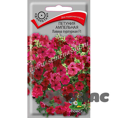 Петуния Лавина пурпурная Поиск Ц