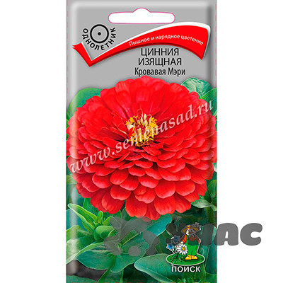 Циния Кровавая Мэри изящная  Поиск Ц