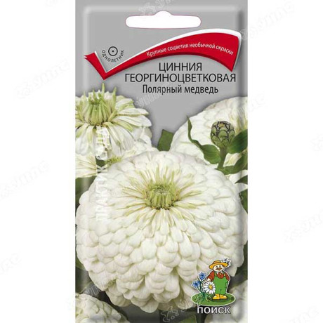 Циния Полярный медведь Поиск Ц