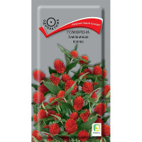 Гомфрена Земляничная поляна Поиск Ц