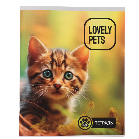 Тетрадь общая 48 листов в клетку, блок №2, обложка ватман 120 г/м2, скрепка