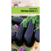 Баклажан Черная икра Урожай у дачи F1 Ц