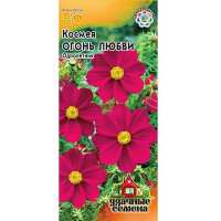 Космея Огонь любви Удач сем Гавриш Ц