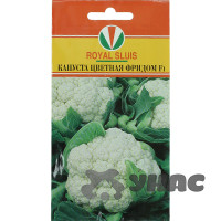 Капуста цв. Фридом Маринда/Акварель