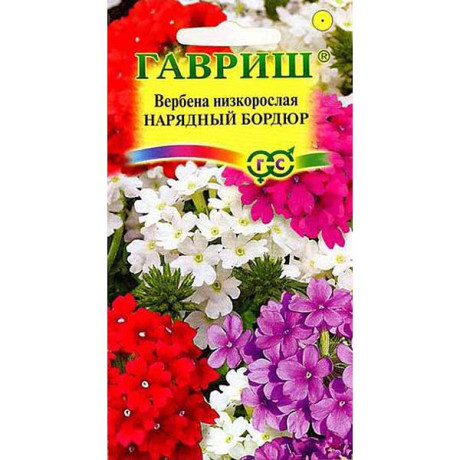 Вербена Нарядный бордюр низкая Гавриш Ц