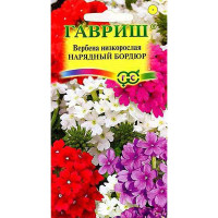 Вербена Нарядный бордюр низкая Гавриш Ц