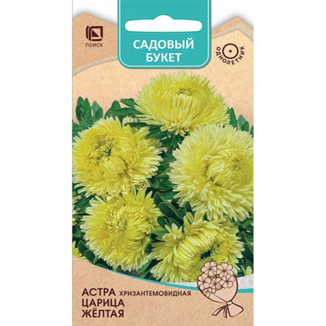 Астра Царица Желтая Поиск Ц