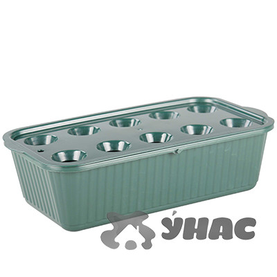 Лоток для выращивания зеленого лука зеленый БШ6715