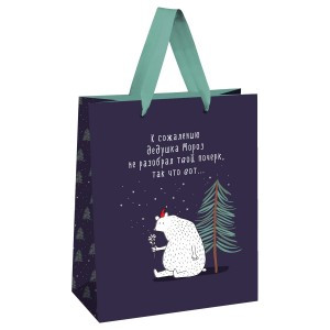 Пакет подарочный18*23*10см MESHU"Новогоднее недопонимание",отд.фольгой,выбор.лак,матов.ламин. 354623