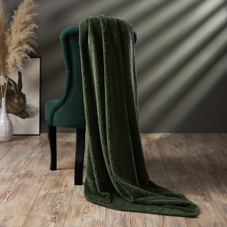 PROVANCE Эвкалипт Плед микрофибра, 180х200см, 300гр/м, зеленый