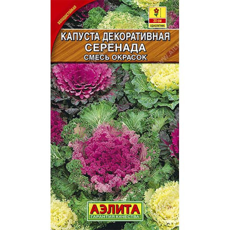 Капуста декор. Серенада Аэлита Ц