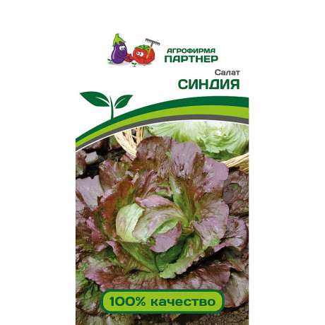 Салат Синдия Партнер Ц