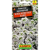 Алиссум Клеа кристал вайт Аэлита Ц