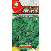 Мелисса лекарственная Свежесть Аэлита Ц x10