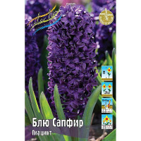 Гиацинт Блю Сапфир 14/15