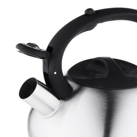 VETTA Чайник стальной 2.3л матовый, индукция