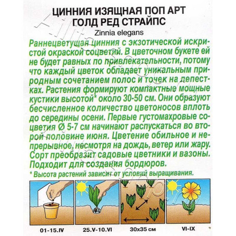 Семена Циния Поп арт голд ред страйпс Аэлита Цх10