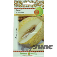Дыня Золушка НК Ц