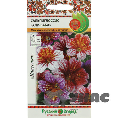 Сальпиглоссис Али-баба смесь НК Ц