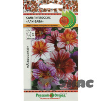 Сальпиглоссис Али-баба смесь НК Ц