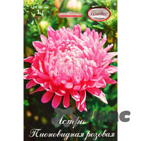 К Астра Даная розовая Пионовидная Каприс