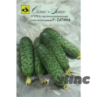 Огурец Сатина Семко Ц