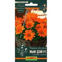 Гацания Нью Дэй чистый оранж Аэлита Ц