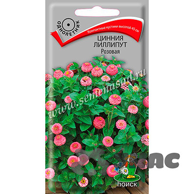 Циния лиллипут Розовая  Поиск Ц