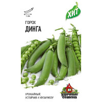 Горох Динга (метал) Гавриш Ц