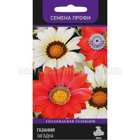 Газания Загадка Поиск Ц