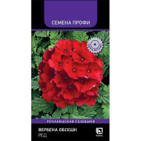 Вербена Обсешн Ред Поиск Ц