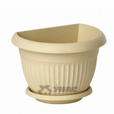 Виола Оранжевое Солнце  Плазма Ц