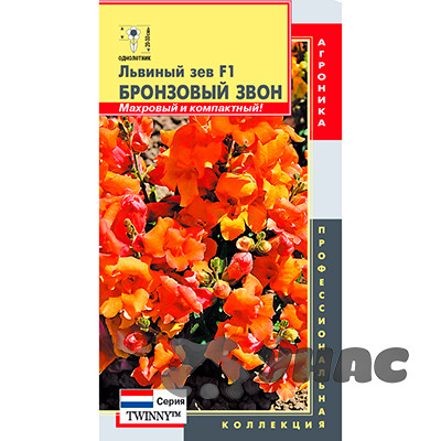 Львиный зев Бронзовый звон Плазма Ц х10