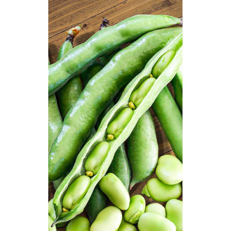 Бобы Велена 10шт Садовита Ц