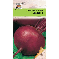 Свекла Пабло Урожай у дачи Ц