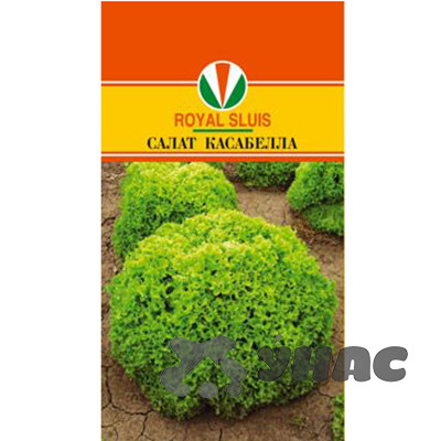 Салат Касабелла Маринда/Акварель Ц