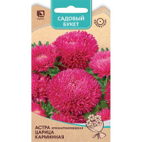 Астра Царица Карминная Поиск Ц