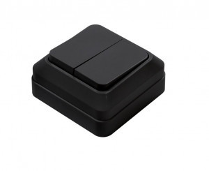 ASD/InHome BOLLETO выкл. ОУ 2 кл. 10А пласт.осн, черный 7023B