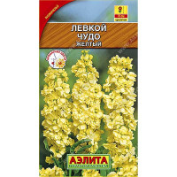 Левкой Чудо желтый высокоросл. Аэлита Ц